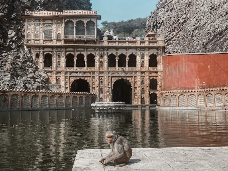 Monkey Temple, der Affentempel in Jaipur