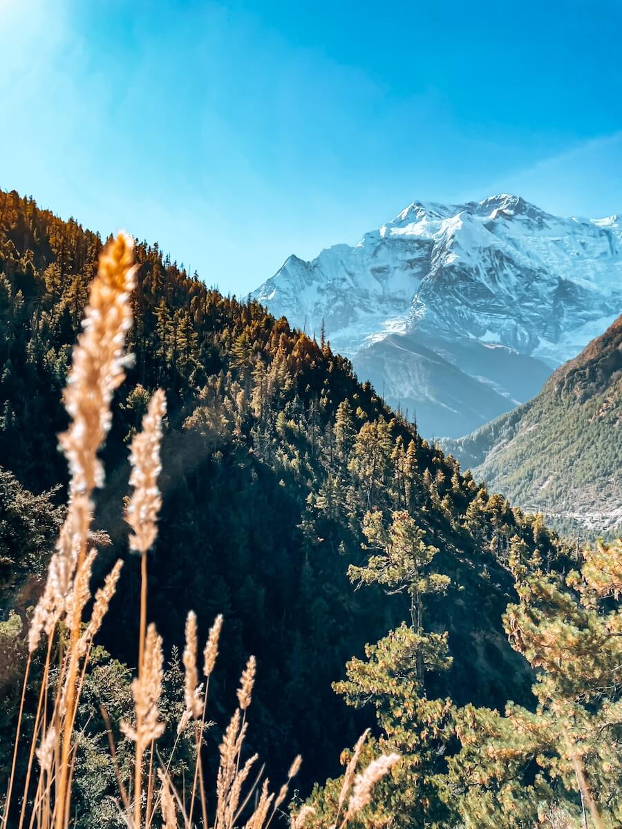 Ausblick während der Wanderung