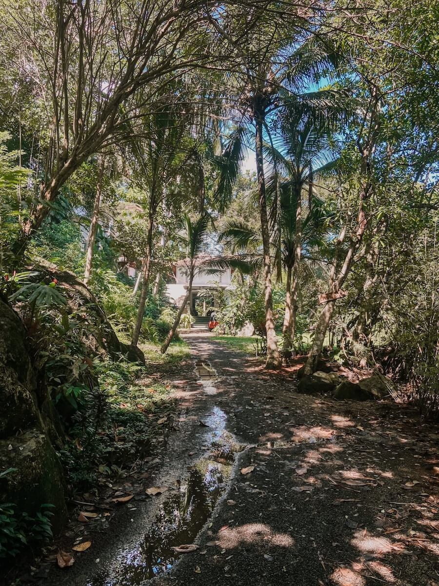 Zufahrt zu unserem versteckten Jungle-Hostel