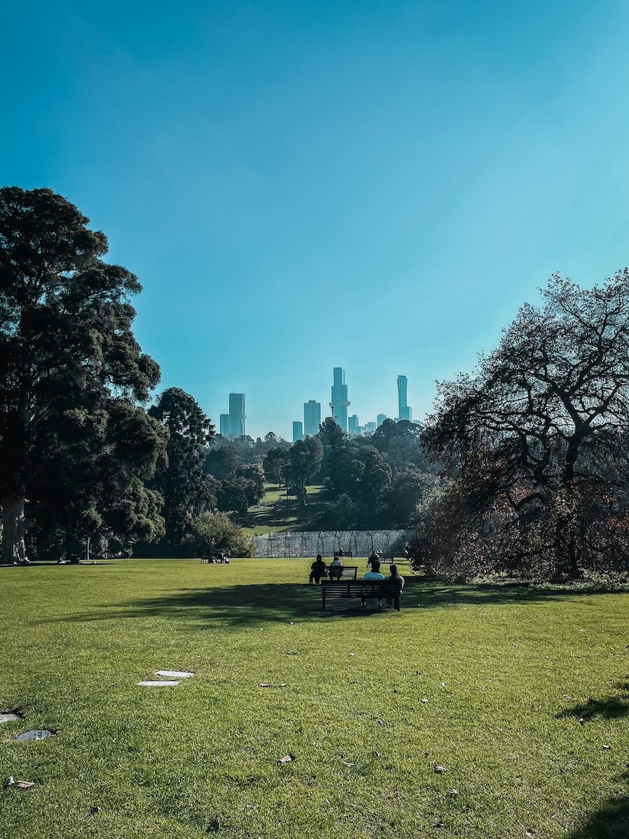 View Skyline Melbourne from Botanical Garden