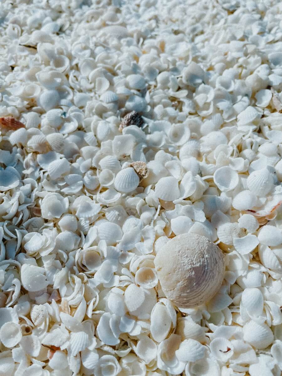 Shell Beach bei Shark Bay