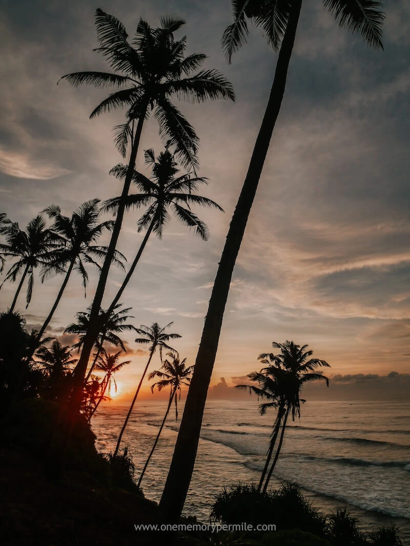 Coconut Tree Hill beim Sonnenaufgang