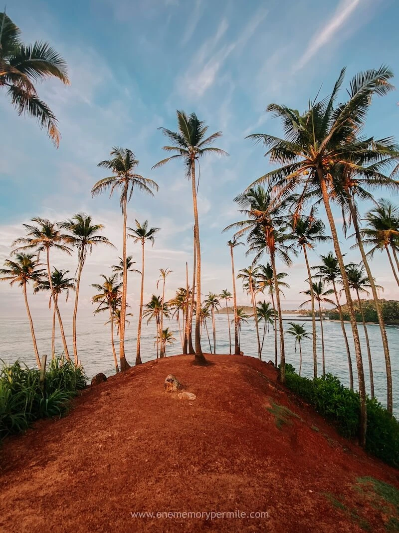 Coconut Tree Hill nach Sonnenaufgang