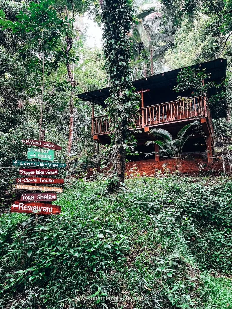 Yoga Retreat in Digana