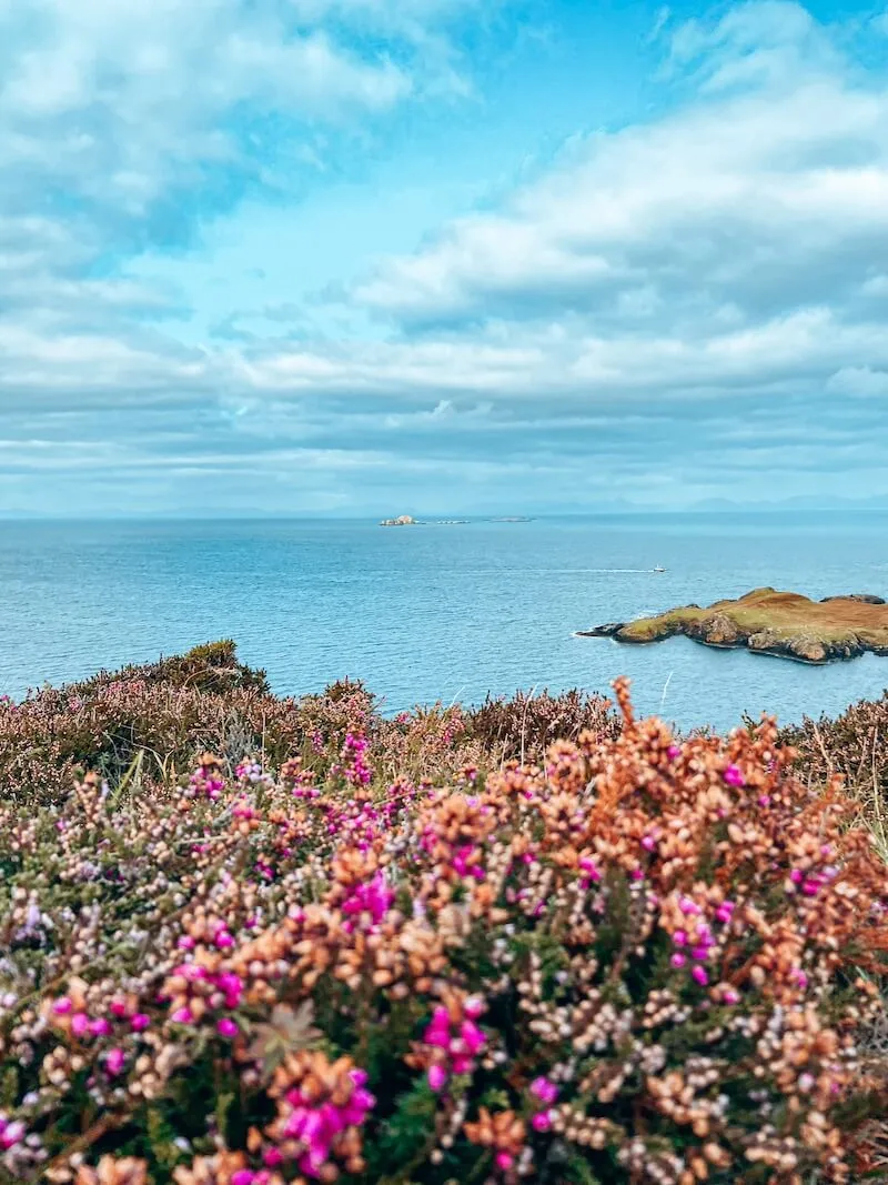 Schottland Wildcamping Stellplatz