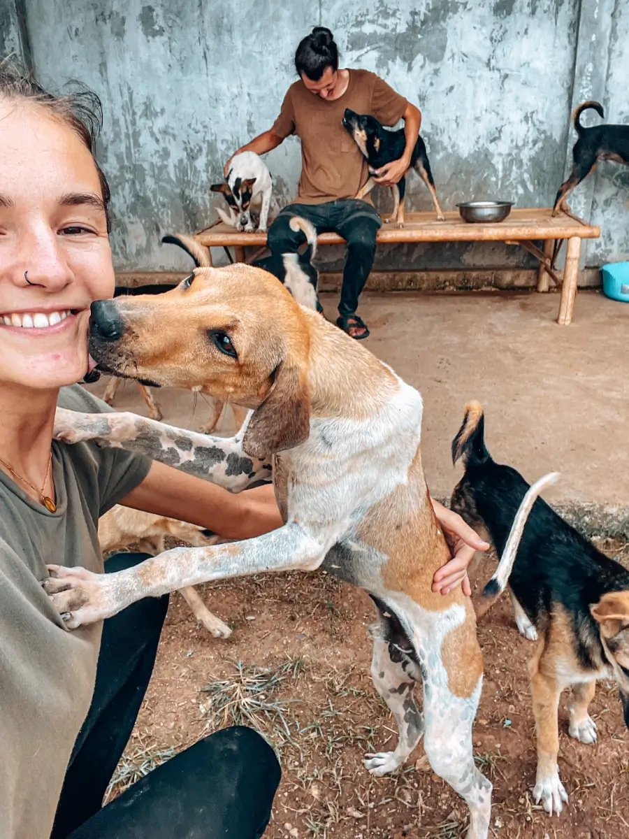 Volunteer Arbeit in Thailand
