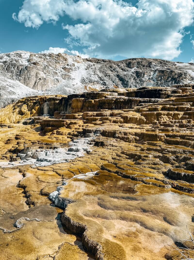 Mammoth Hot Springs