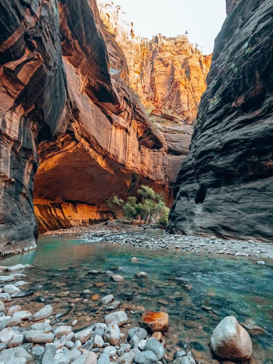 Schlucht im Zion Nationalpark