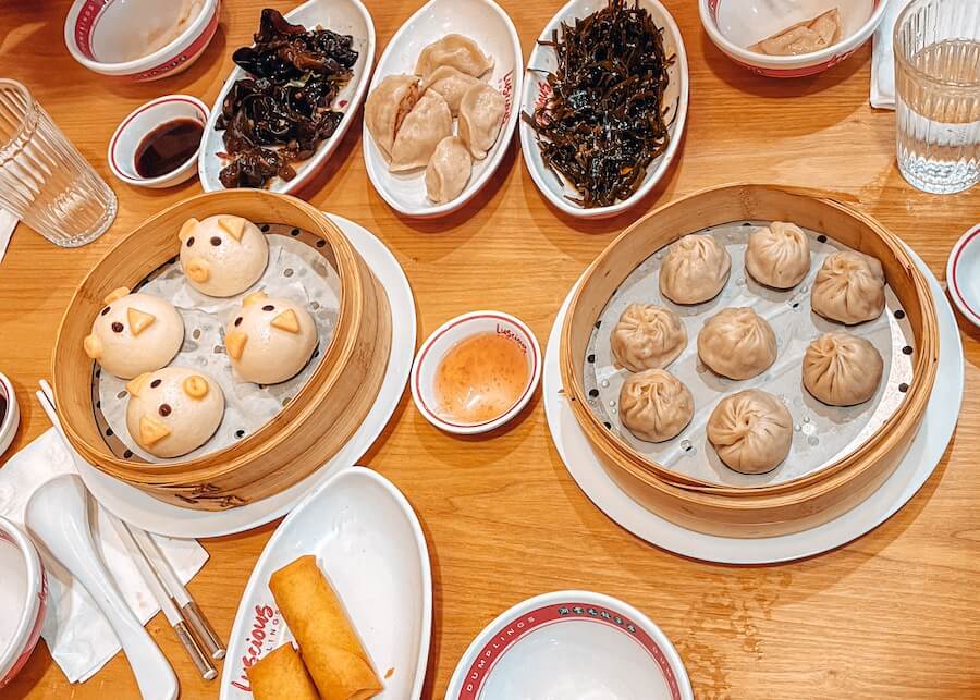 Pork Dumplings in Philadelphias Chinatown